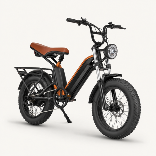 E-bike EVOO E20 — imagem de referência provisória